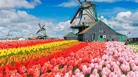 netherlands vacation packages deals